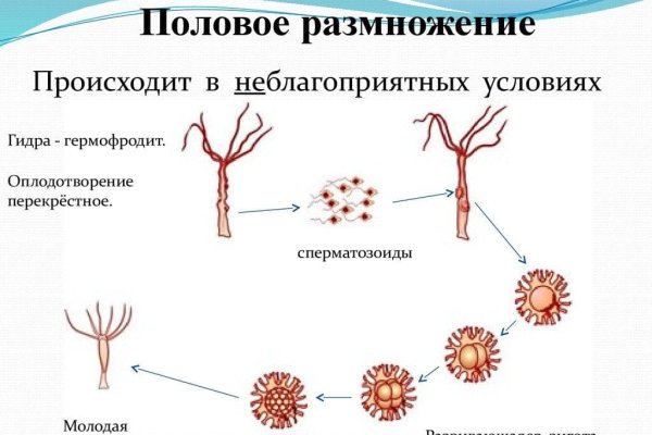 Кракен даркнет ссылка на сайт