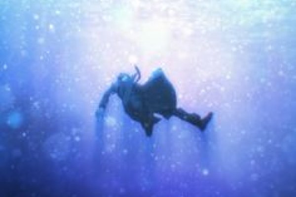 Kraken 6at