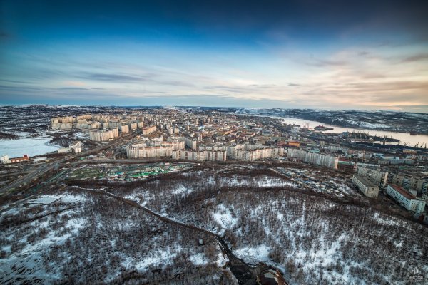 Что продает кракен