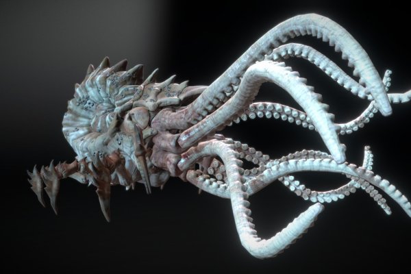 Kraken 14at