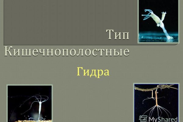 Кракен сайт наркота