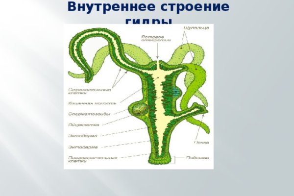 Kraken 18