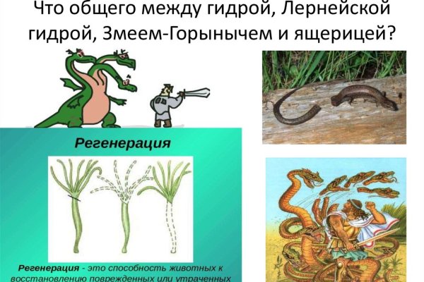 Кракен ссылка на тор официальная онион