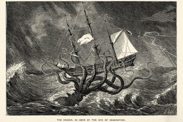 Kraken 13 at