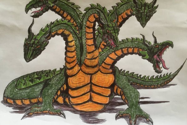 Kraken 20at