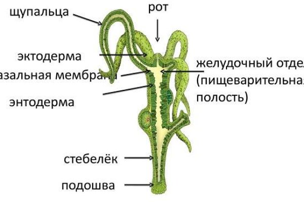 Как зайти на kraken маркетплейс