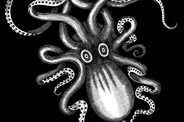 Kraken19at
