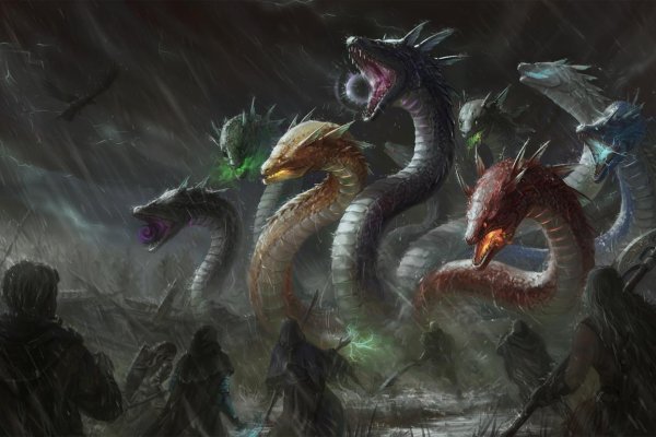 Kraken17 at