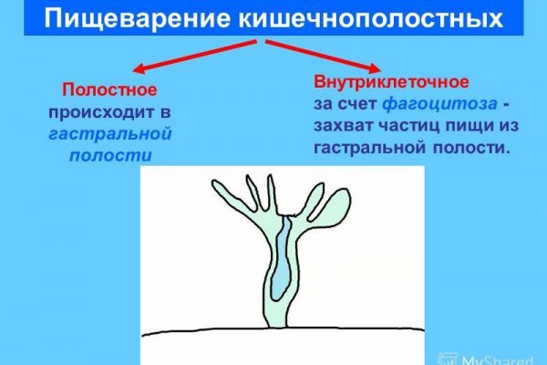 Кракен зеркало krakenat2krnkrnk com